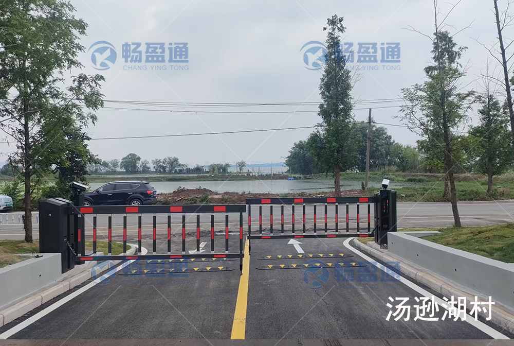 湯遜湖(hú)出車(chē)牌識别